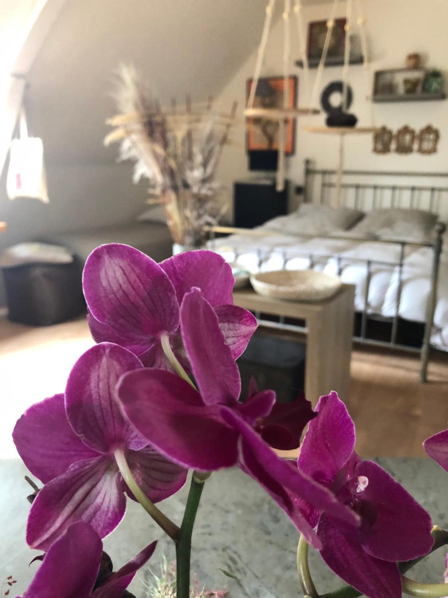 Blaison La Thibautiere B&B 외부 사진