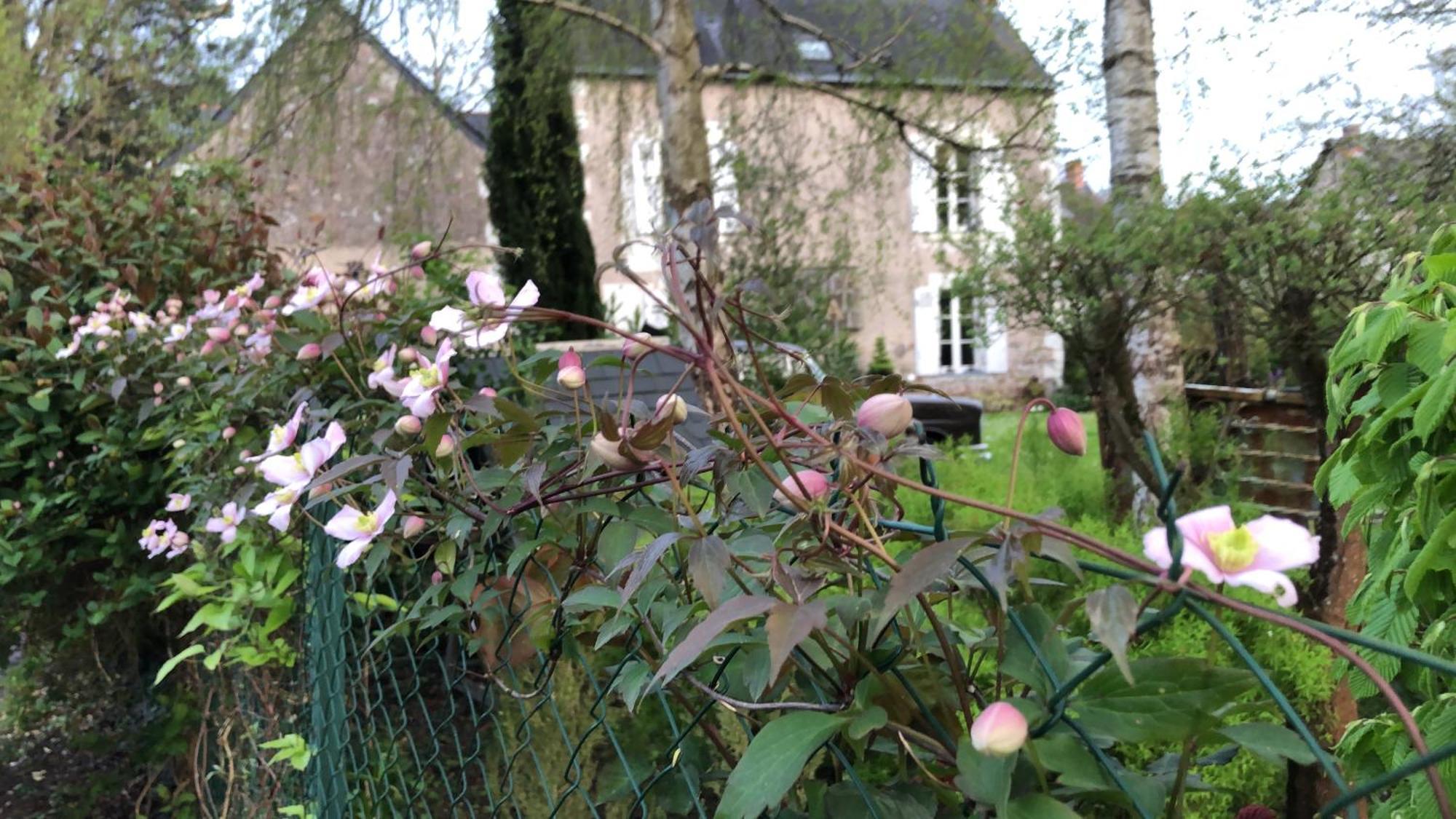 Blaison La Thibautiere B&B 외부 사진