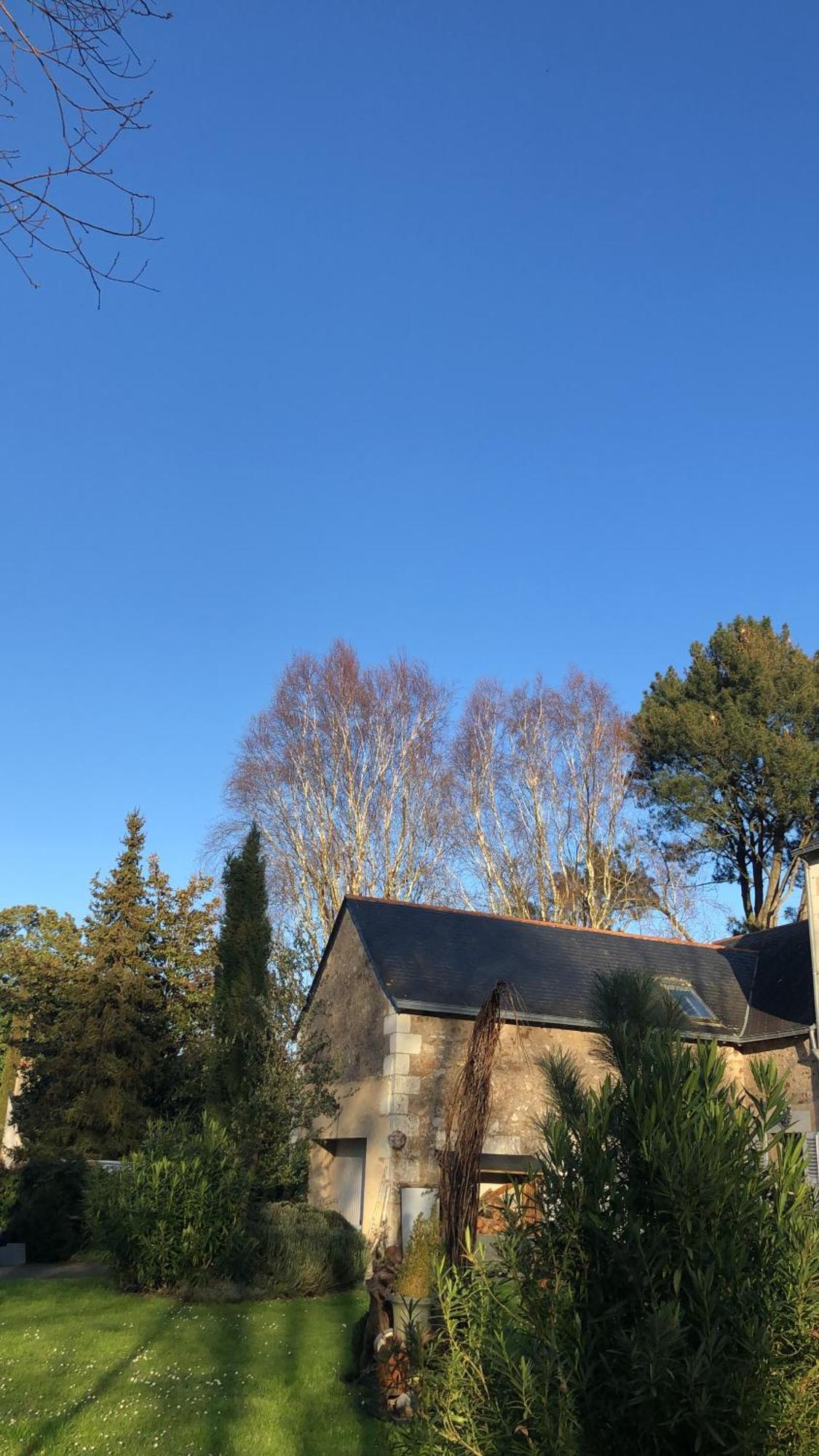 Blaison La Thibautiere B&B 외부 사진